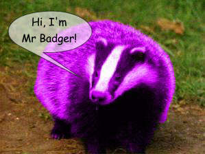Mr Badger says Hello